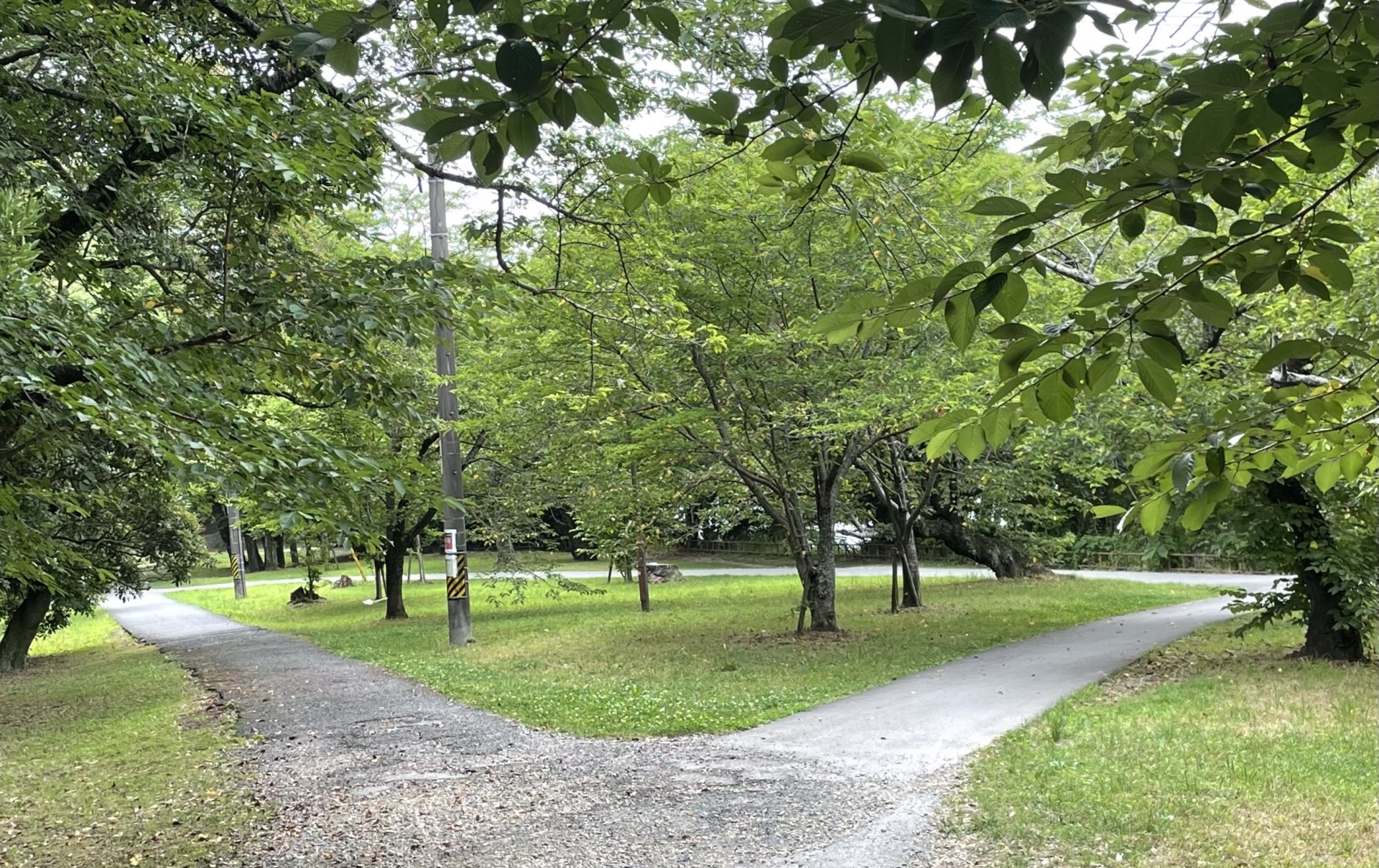 人生にマネジメント!