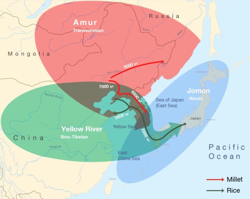 Integration of linguistic, agricultural and genetic expansions in Northeast