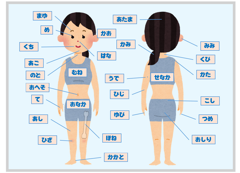 みんなの日本語(初級1)第17課 教案Tips | 日本語教師のネタ帳