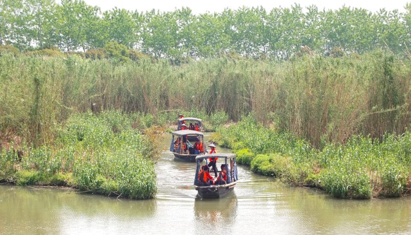 沙家浜湿地公園