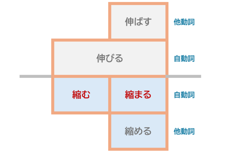 「伸ばす」「伸びる」「縮む」「縮まる」「縮める」