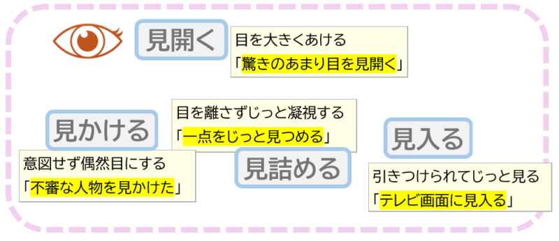 1「見開く」「見かける」「見入る」「見詰める」