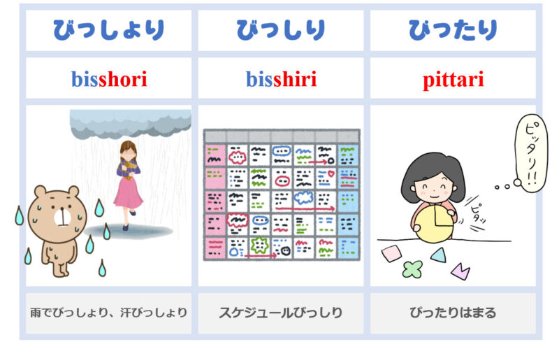 「びっしょり」「びっしり」「ぴったり」