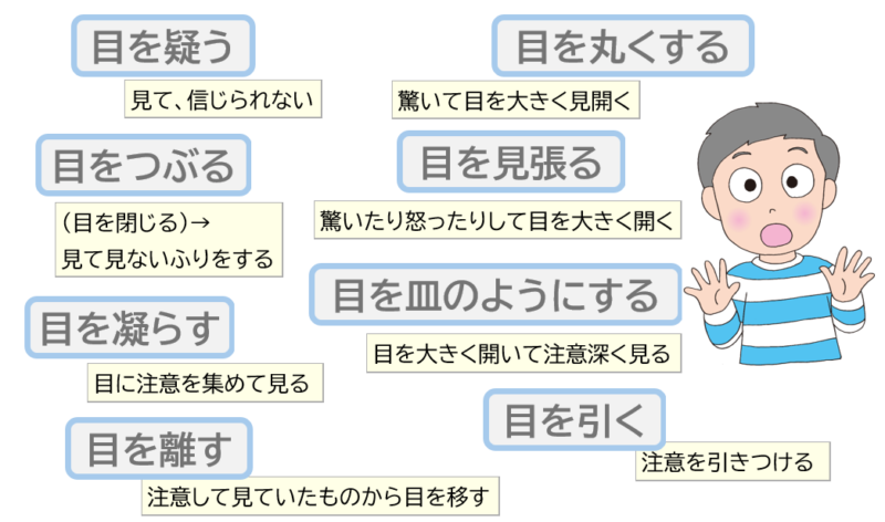 目を丸くする目を皿のようにするなど