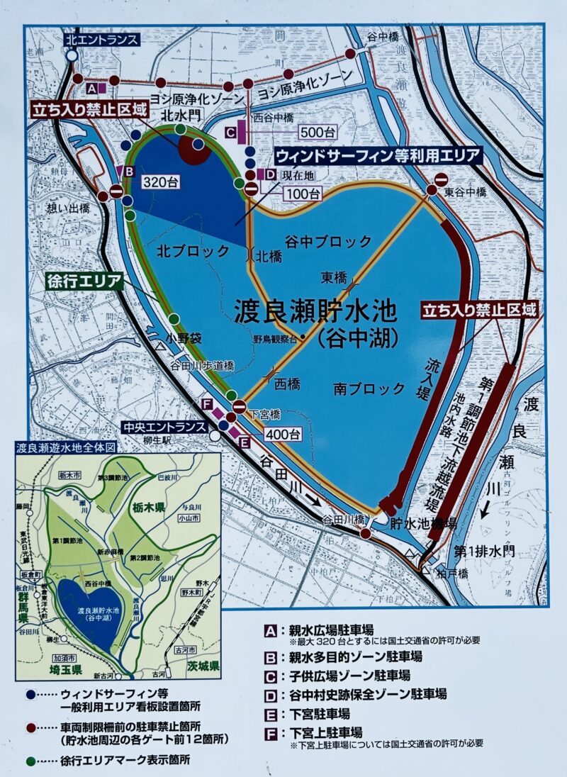 谷中湖