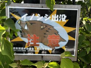 イノシシ出没