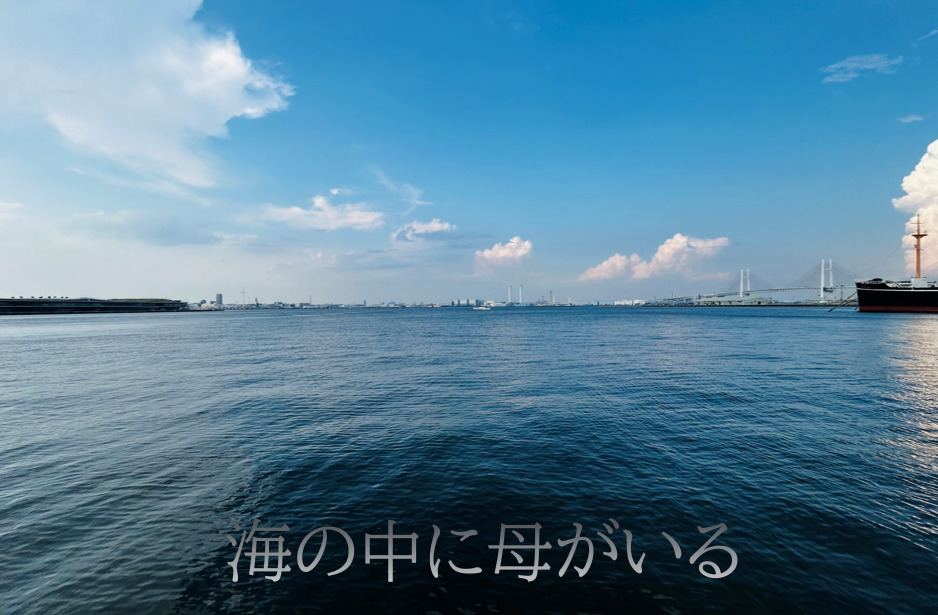 「海の中に母がいる」