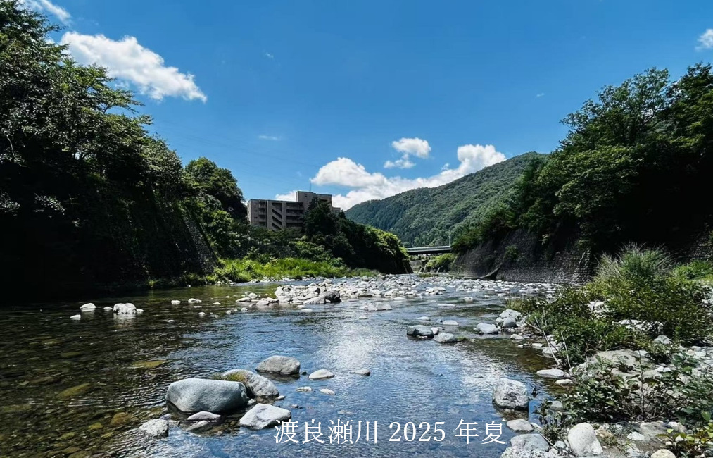 田中正造Ⅱ「渡良瀬川」