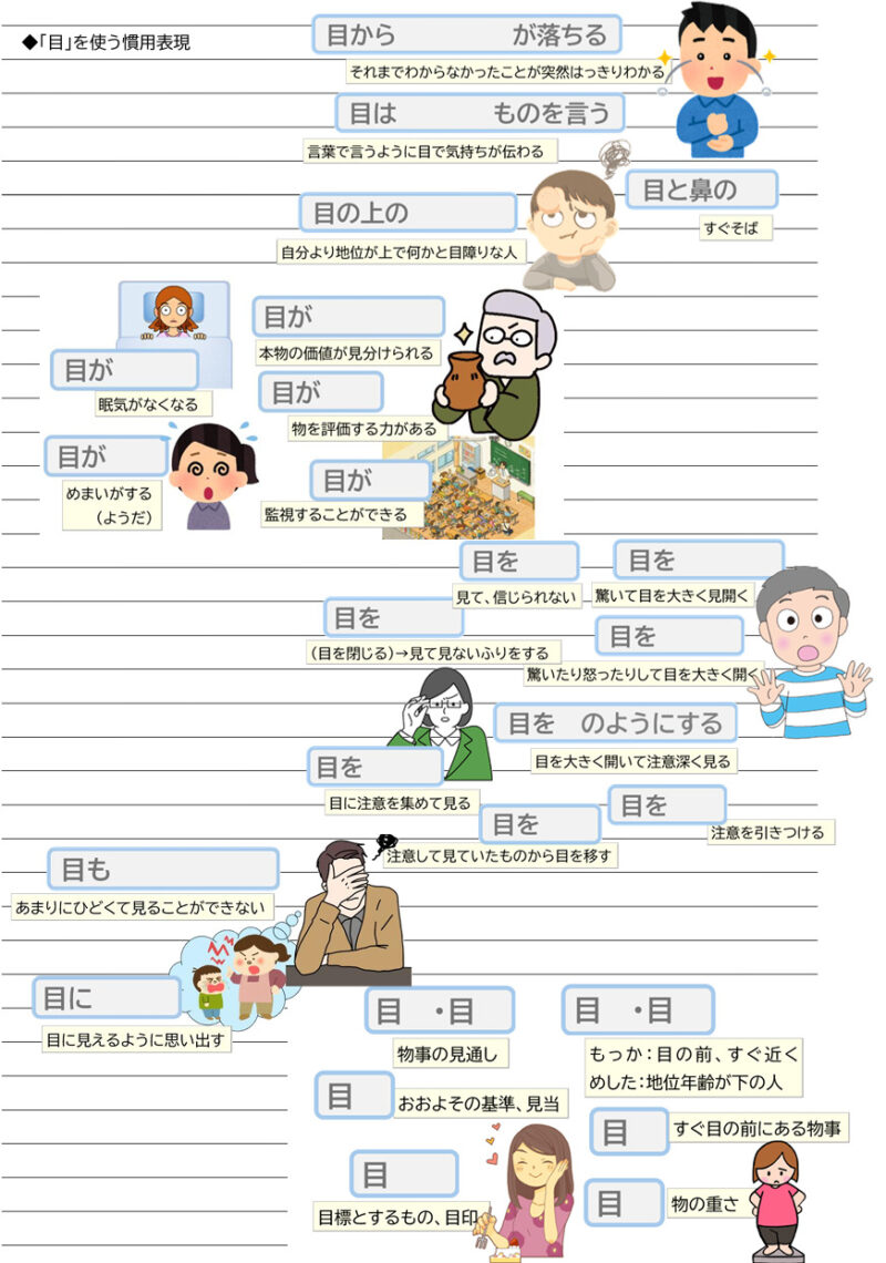 目を使う慣用表現、語彙