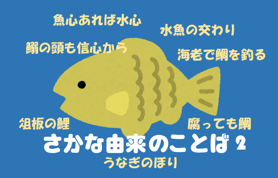 魚由来の言葉２