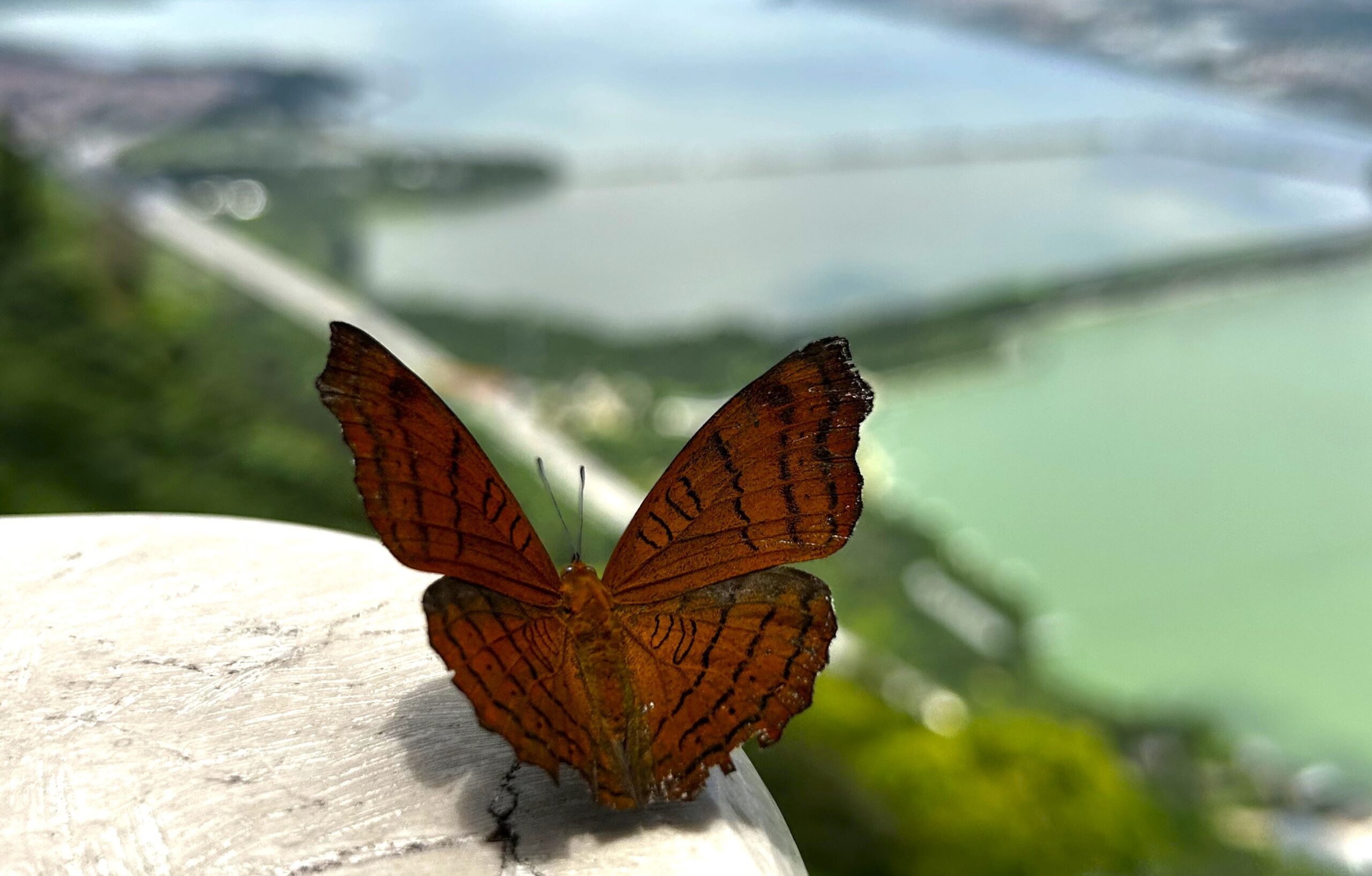 西山ロングウォーク