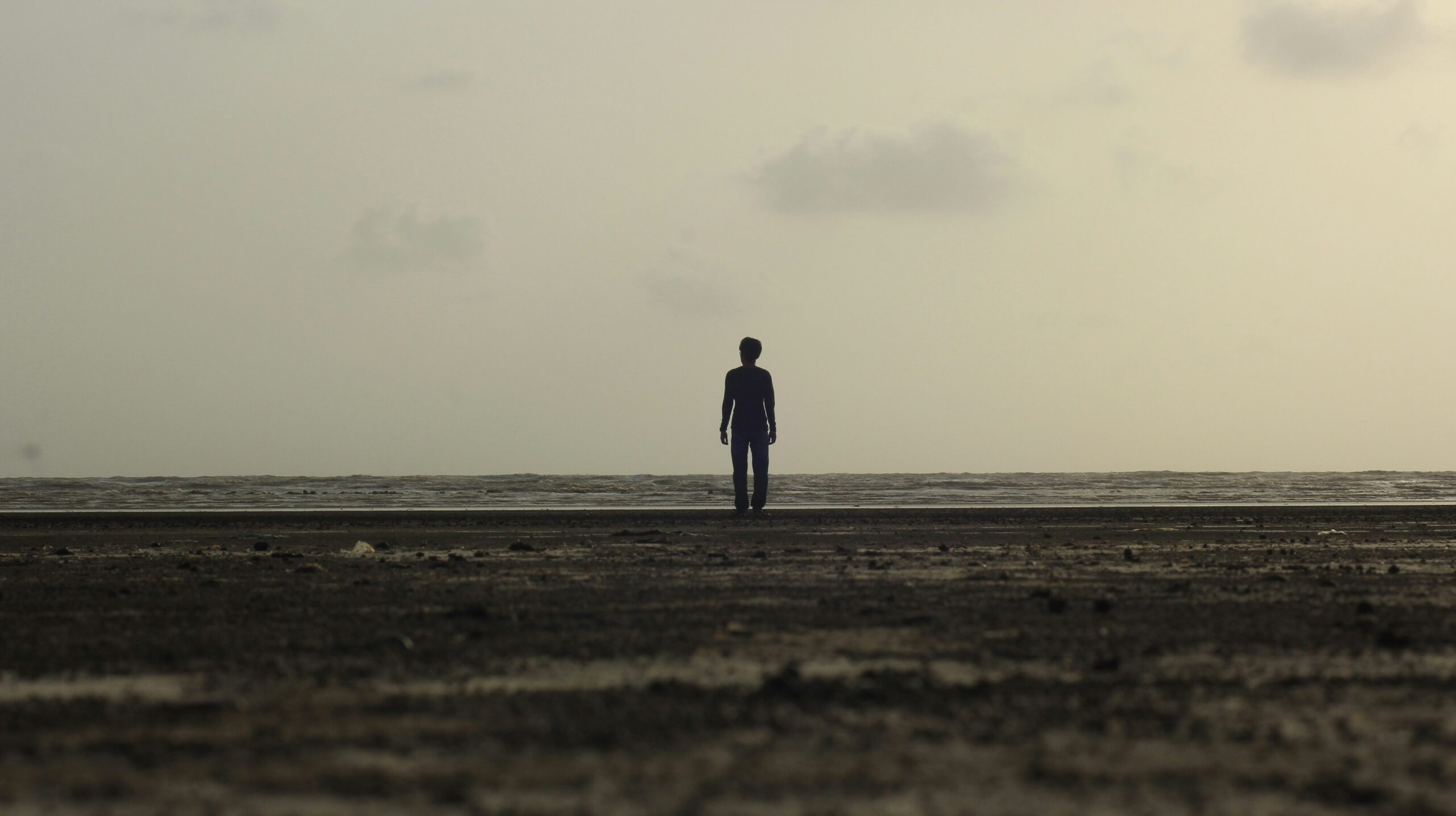 ニューホライズン