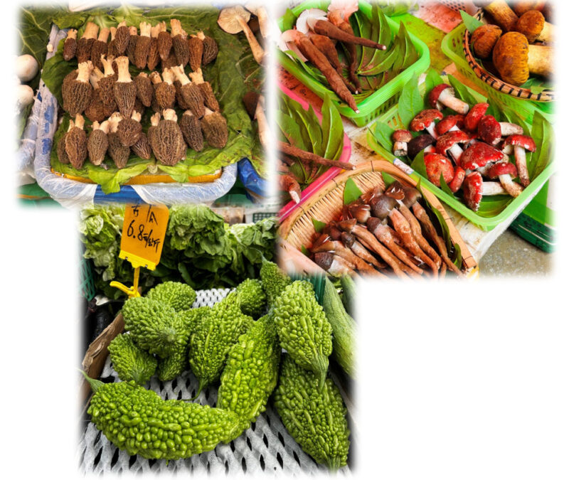 昆明農貿市場のきのこ、ニガウリ