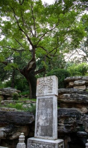 崇禎帝首吊りの木