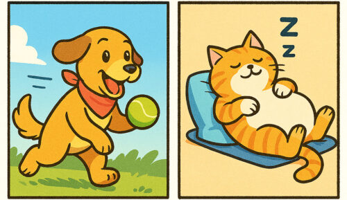 ボールを拾ってくる犬と何もしない猫