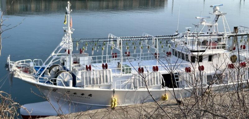 浜坂港のイカ釣り船