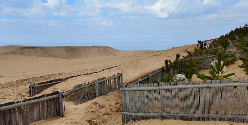 入り口手前の防砂林のある入り口