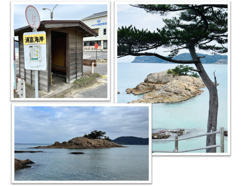 浦富海岸の風景