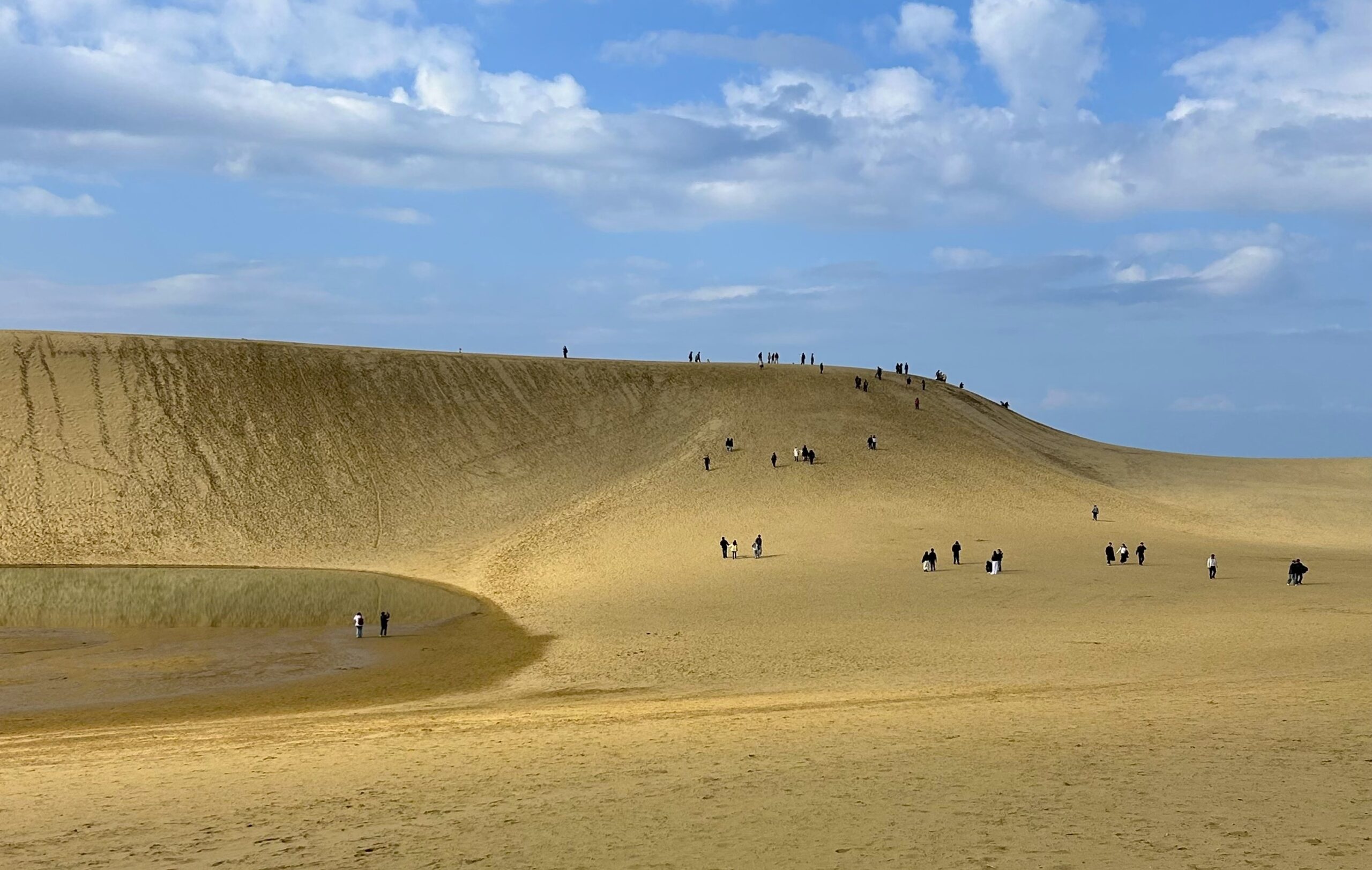 鳥取砂丘