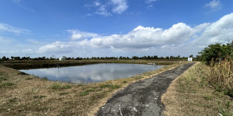 鹿耳門から厦門の方角を見る