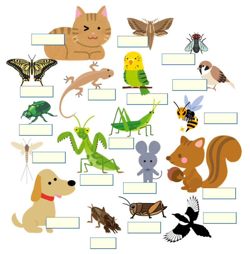 「いのち」に登場する生き物空