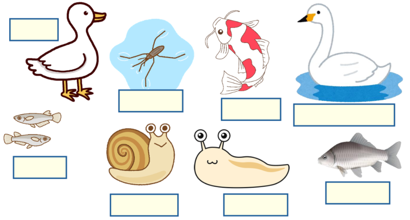 身近な生き物追加８つ