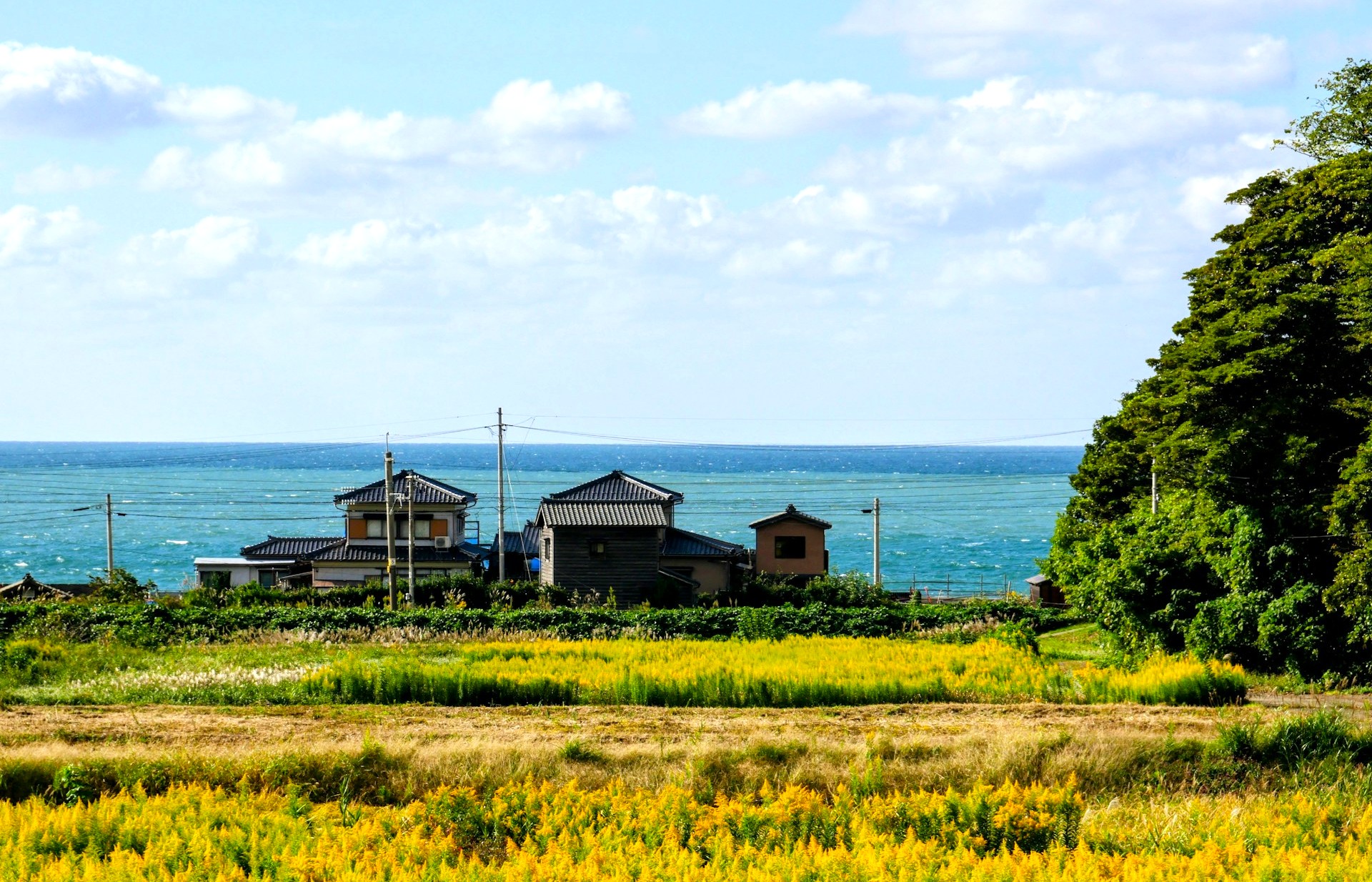 「浜」「渚」「磯」「浦」「灘」「沖」(海辺の場所を表す言葉) | 日本語教師のネタ帳