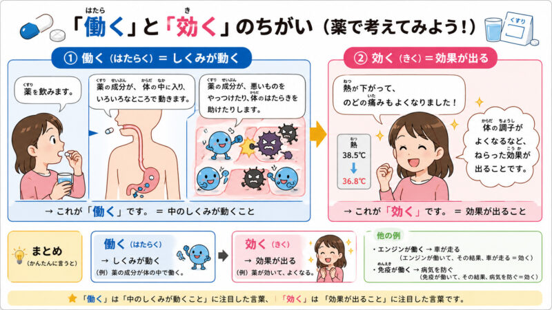 「はたらく」と「きく」まとめ