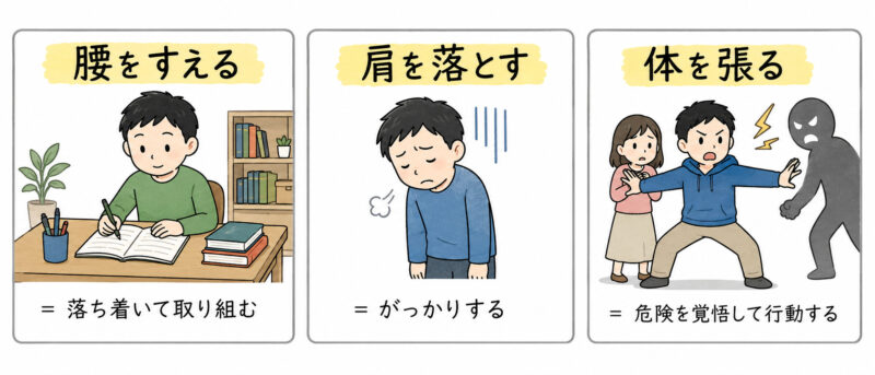 「腰を据える」「肩を落とす」「体を張る」簡単イラスト