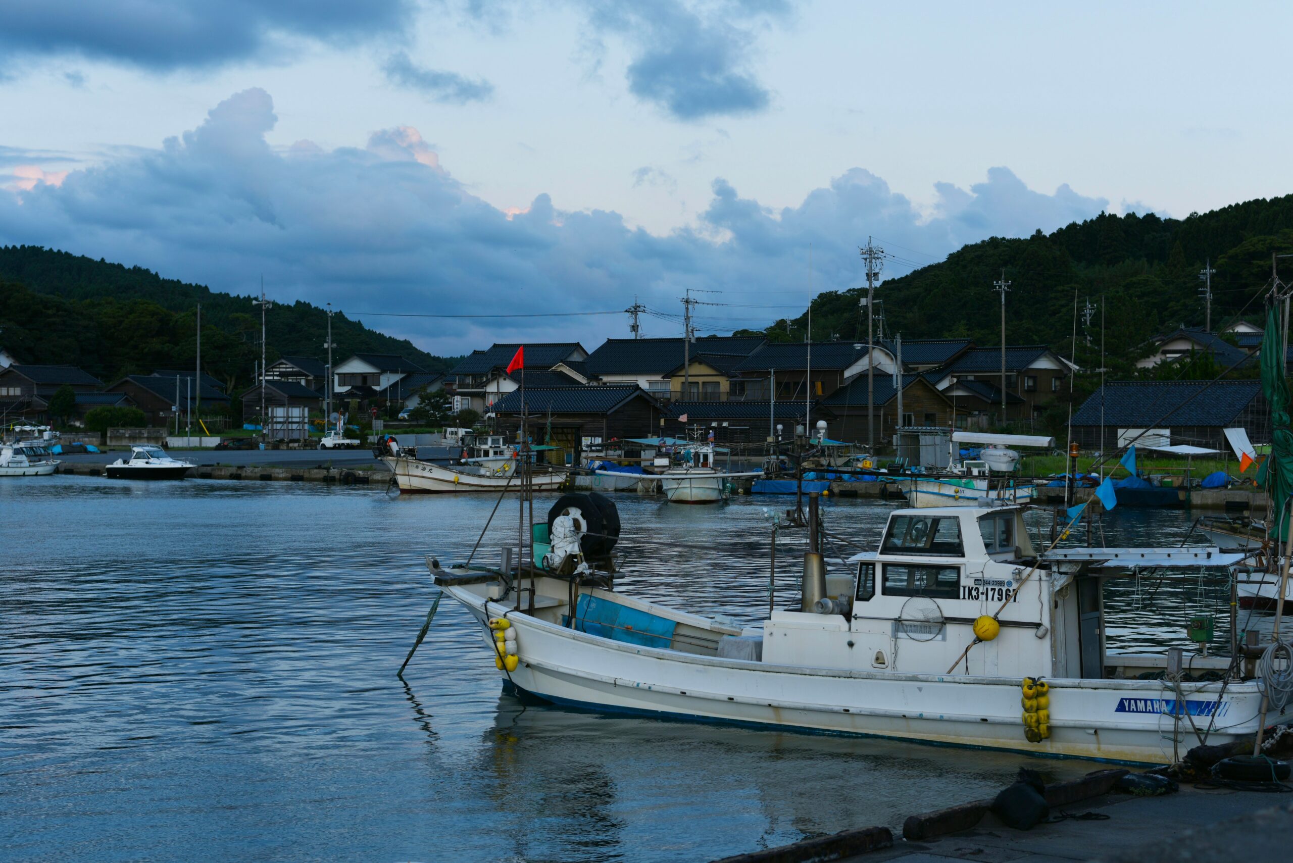 漁村の風景 木の葉の魚Ⅰ