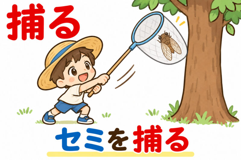 ⑥セミを捕る子ども